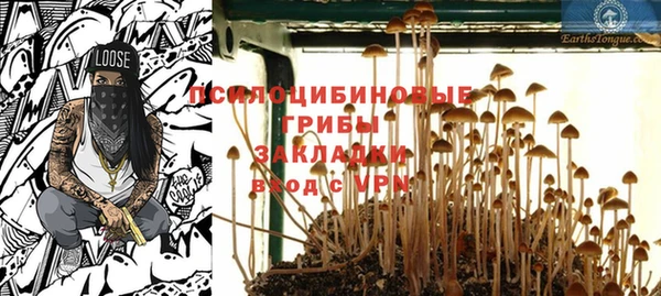 прущая мука Билибино