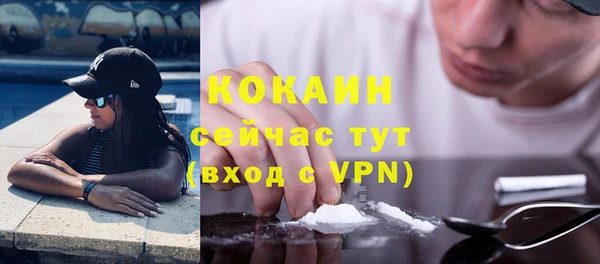 хмурый Мегион