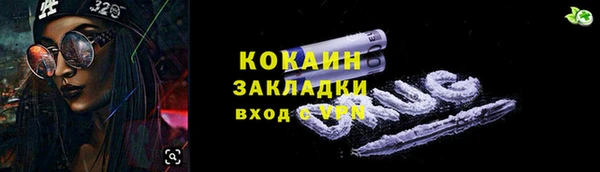 хмурый Мегион