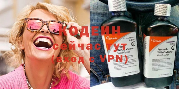 хмурый Мегион