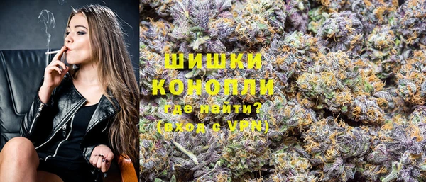 хмурый Мегион