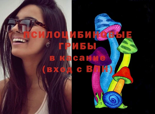 тгк Медвежьегорск