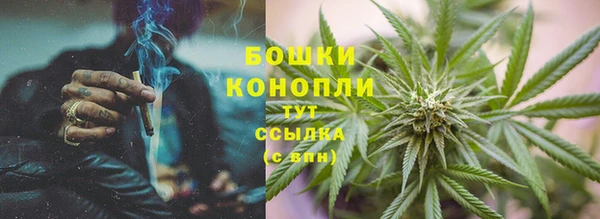 хмурый Мегион