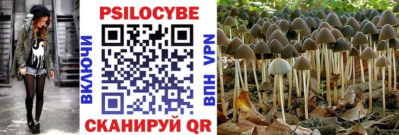 Галлюциногенные грибы ЛСД  Трёхгорный 
